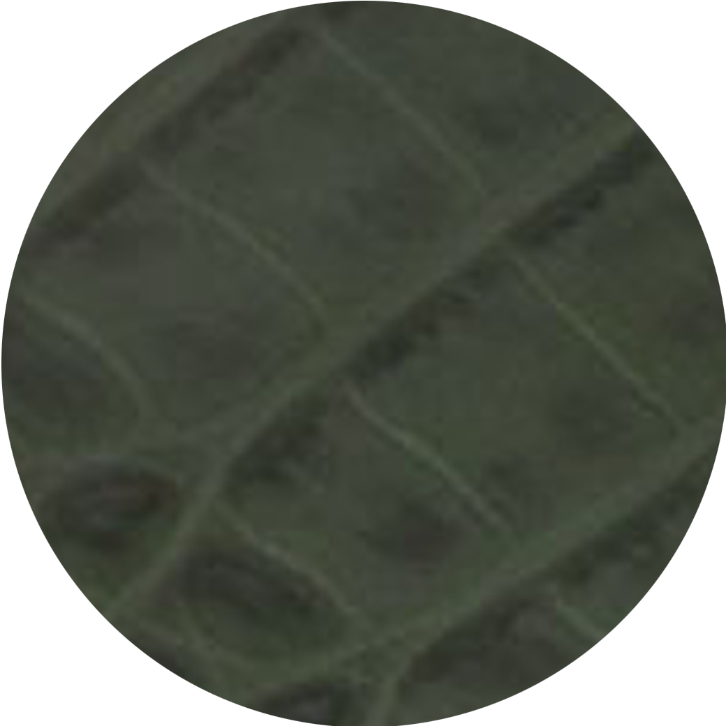 darkgreen
