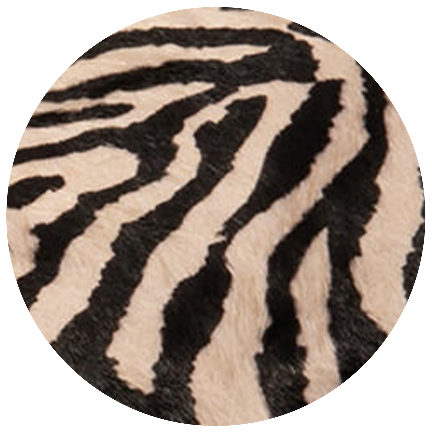 zebra_v2
